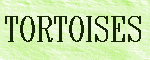 TORTOISES
